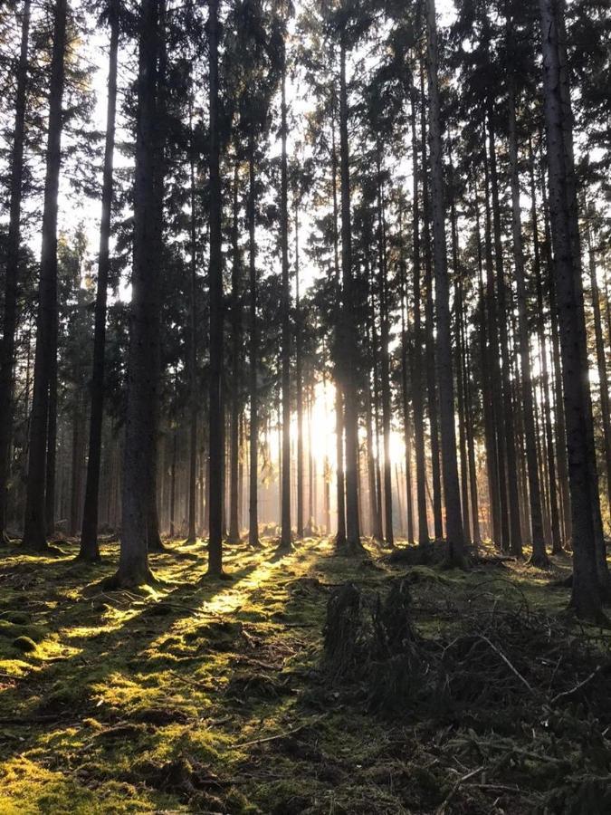 Ferienwohnung Firmenich Schwirzheim Esterno foto