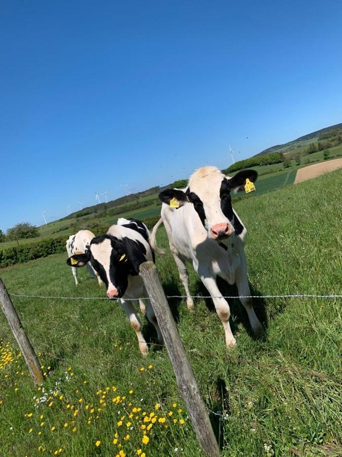 Ferienwohnung Firmenich Schwirzheim Esterno foto